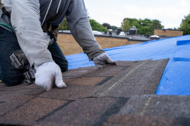 Best Roof Maintenance Services  in West Ishpeng, MI
