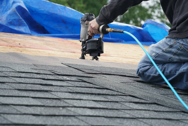 Best Roof Gutter Cleaning  in West Ishpeng, MI
