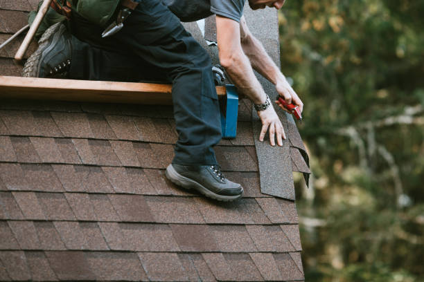 Best Local Roofing Companies  in West Ishpeng, MI