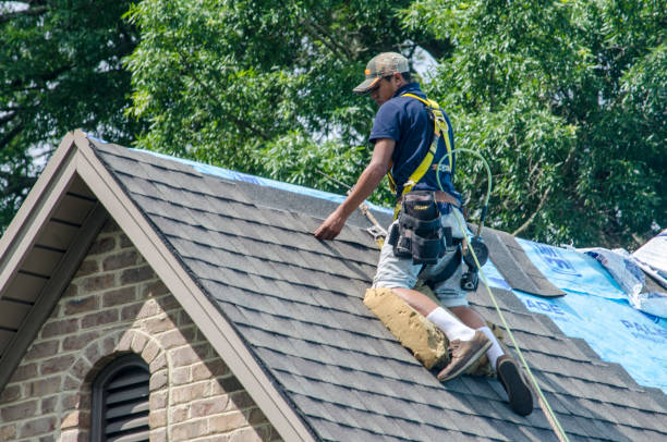 Best Roof Gutter Cleaning  in West Ishpeng, MI